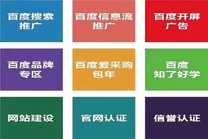 提升网站流量与转化率的关键——关键词竞价排名案例
